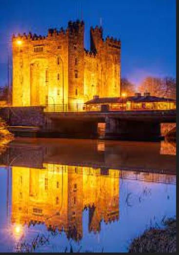 Bunratty Castle Gardens Villa Exterior photo